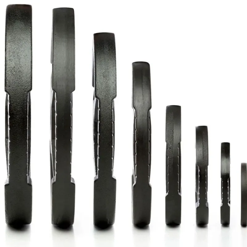 Outlet ATX Gietijzeren 2-Grip Halterschijven 30 mm Standaard Halterschijven 30 Mm