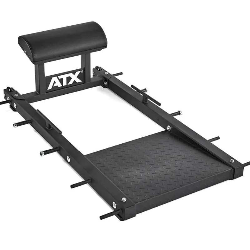 Online Hip Thruster Bench Glute Ham Developers|Beentrainers