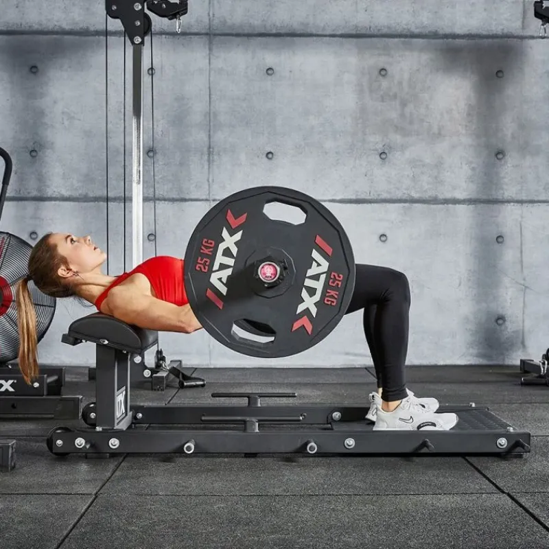 Online Hip Thruster Bench Glute Ham Developers|Beentrainers