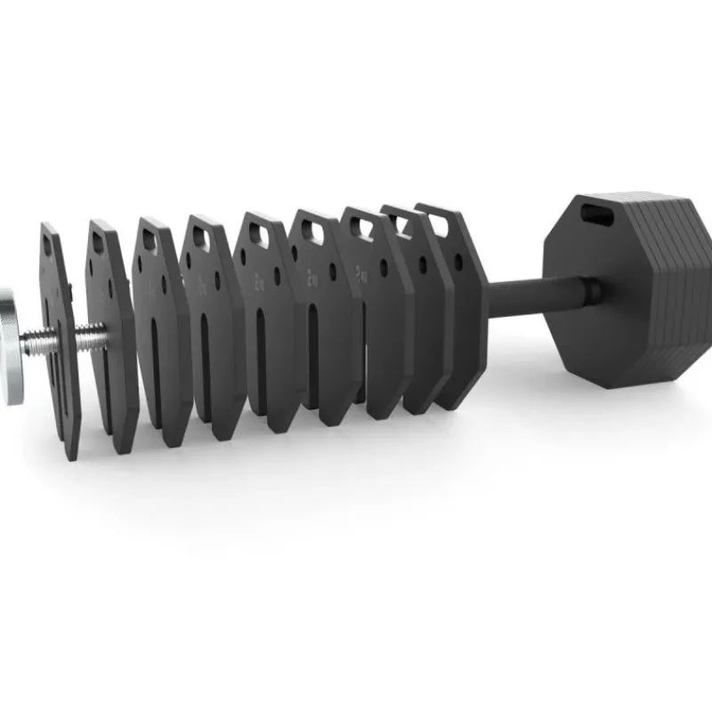Online Octa Dumbbells 2 x 36 kg + Curlstang + Opbergrek Octa Dumbbells|Voor Dumbbells