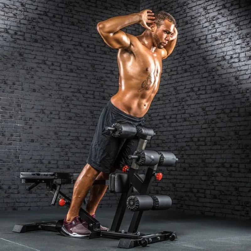 Sale Torso Trainer Buiktrainers|Rugtrainers