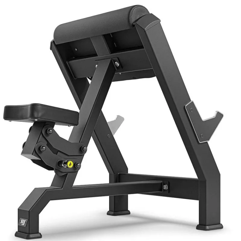 Marbo Scott Bench MP-L203 Bicep Curl Banken