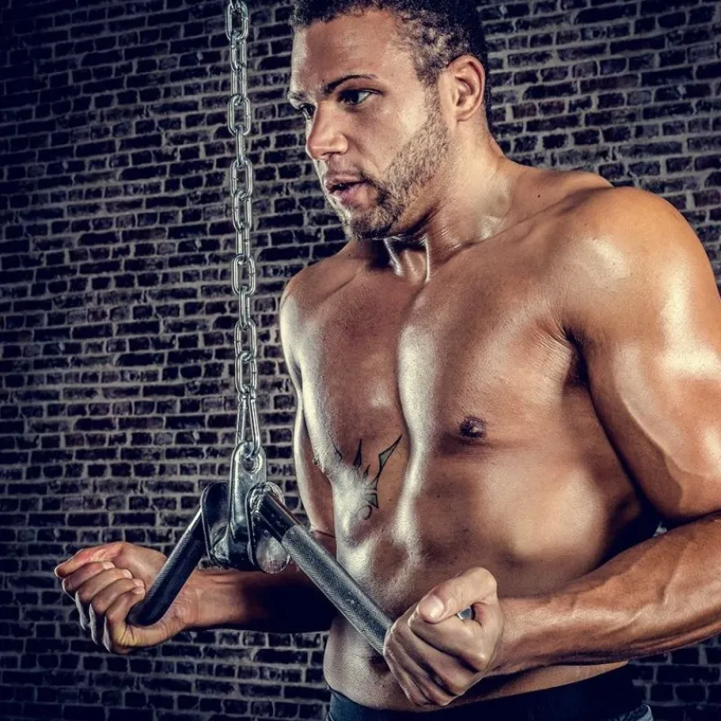 Sale Triceps/Curl-greep 50cm - Licht gebogen Bekijk Assortiment